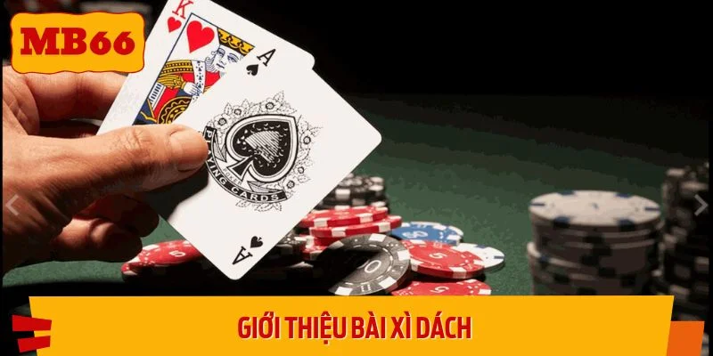 Vài nét cơ bản khi nhắc đến bài xì dách