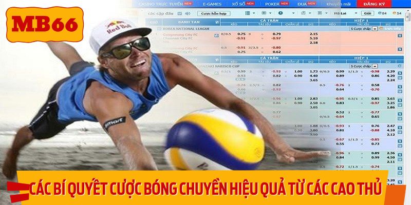 Các bí quyết cược bóng chuyền hiệu quả từ các cao thủ
