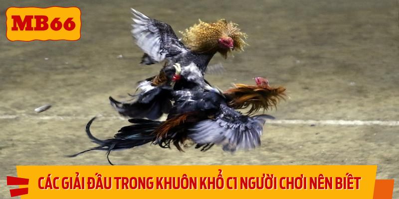 Các giải đấu trong khuôn khổ C1 người chơi nên biết