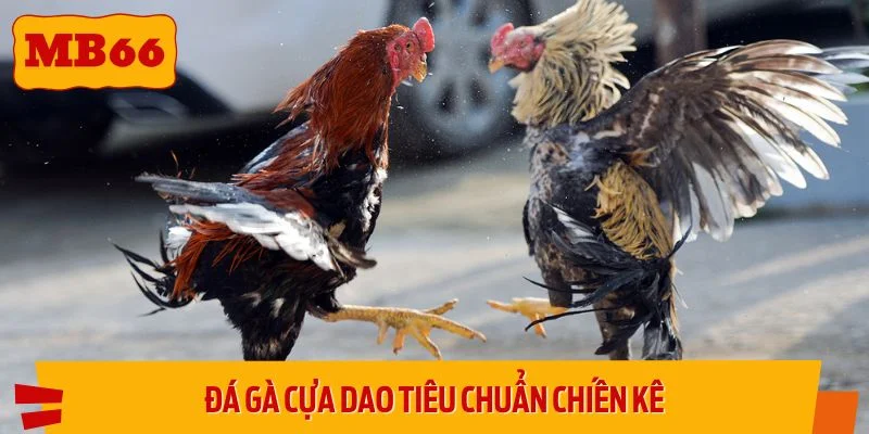 Tiêu chuẩn chiến kê được quy định rõ ràng