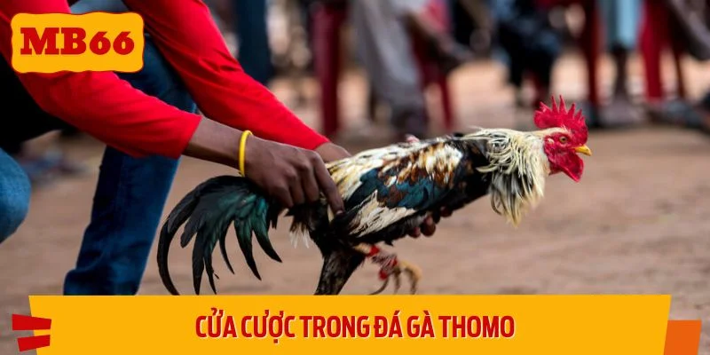Cửa cược quy định trong mỗi trận đấu