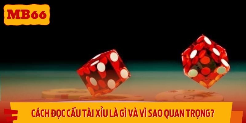 Sử dụng cách đọc cầu tài xỉu để chơi có chiến thuật, cược chính xác hơn