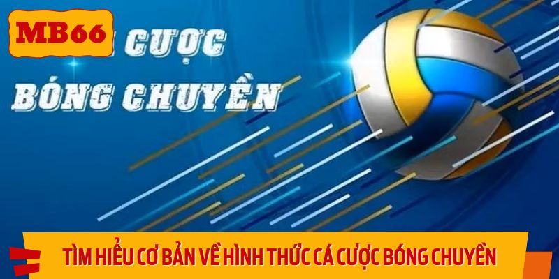 Tìm hiểu cơ bản về hình thức cá cược bóng chuyền hấp dẫn