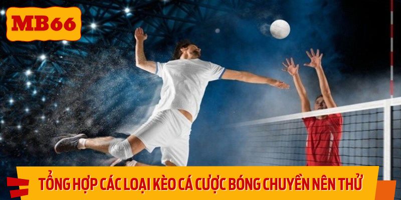 Tổng hợp các loại kèo cá cược bóng chuyền nên thử